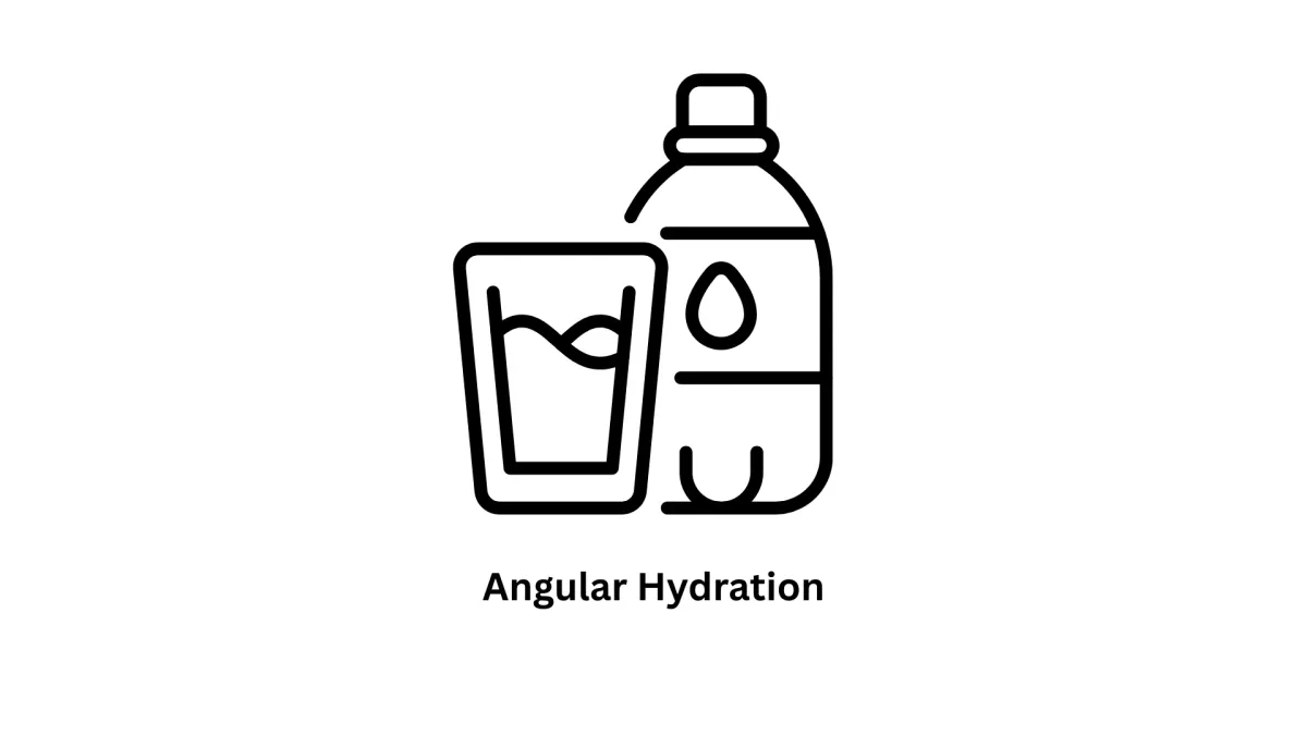 Master High-Performance Web Apps with Angular Hydration