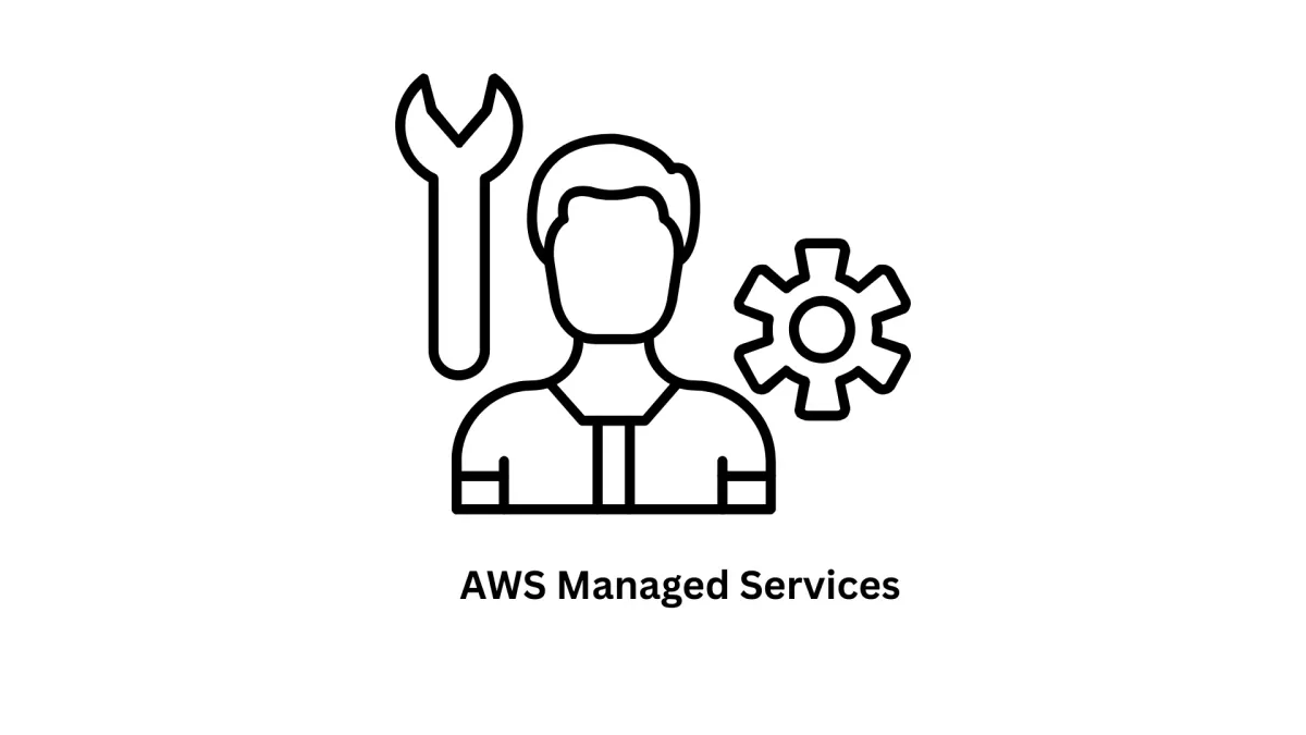 Software Development & IT Solutions