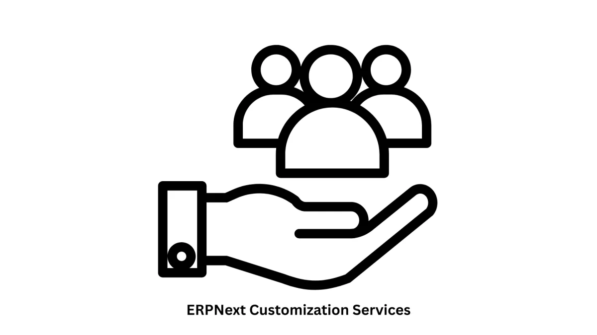 Expert ERPNext Customization Services