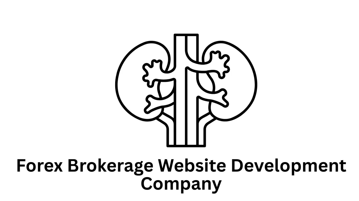Leading Forex Brokerage Website Development Company