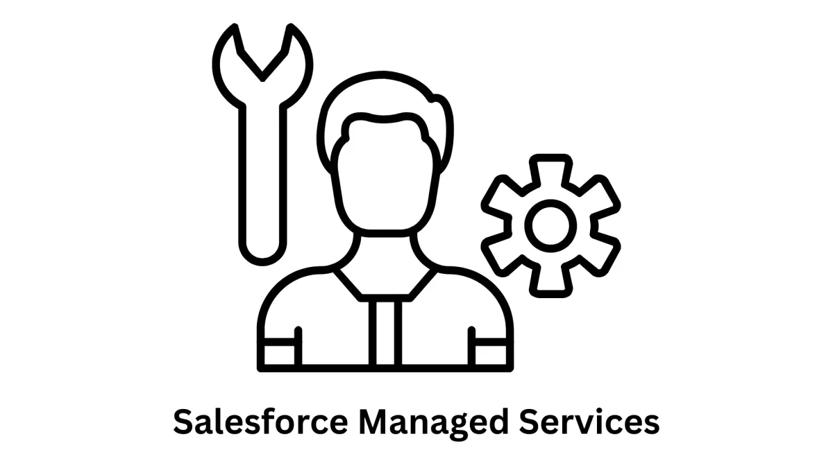 Comprehensive Salesforce Managed Services