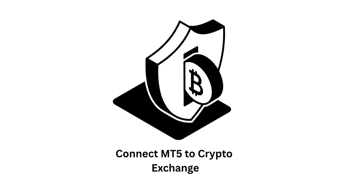 Connect MT5 to Crypto Exchange: Advanced Trading Solutions