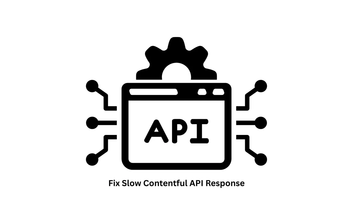 Expert Solutions to Fix Slow Contentful API Response