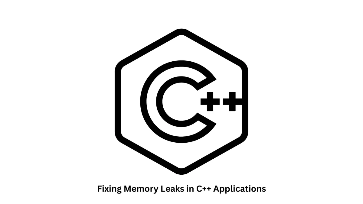 Professional Services for Fixing Memory Leaks in C++ Applications