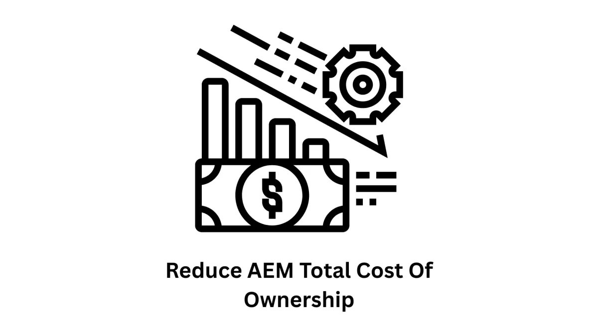 Reduce AEM Total Cost of Ownership
