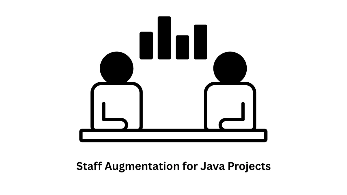 Expert Staff Augmentation for Java Projects