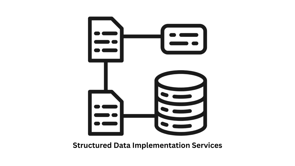Expert Structured Data Implementation Services