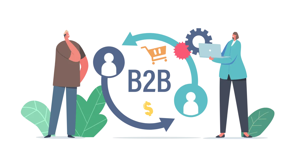 Expert B2B Ecommerce Website Development