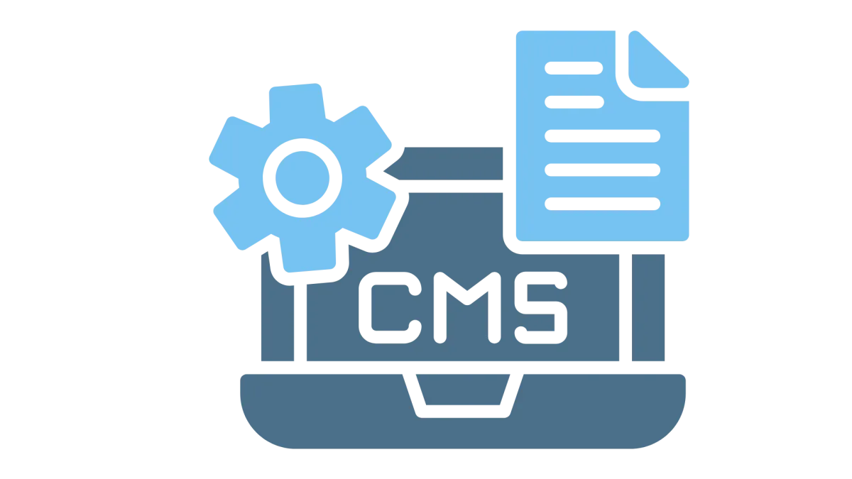 Expert CMS Development Company in Pune