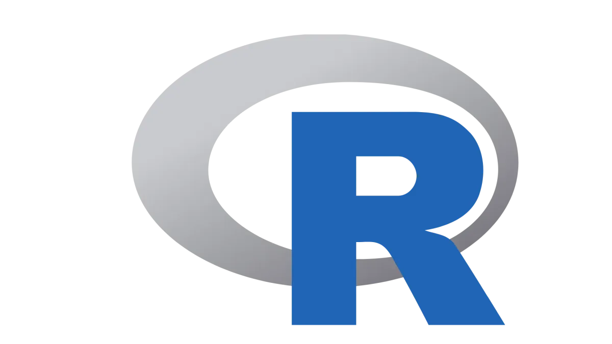 Expert R Development Services