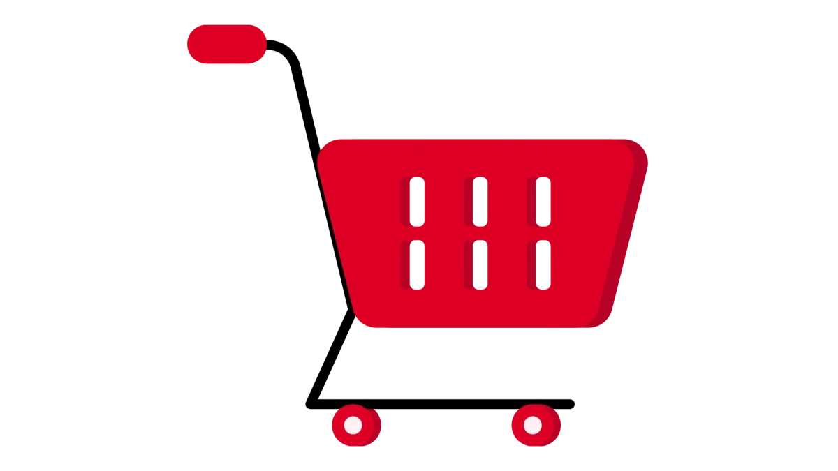 Expert Shopify Development Services in Pune