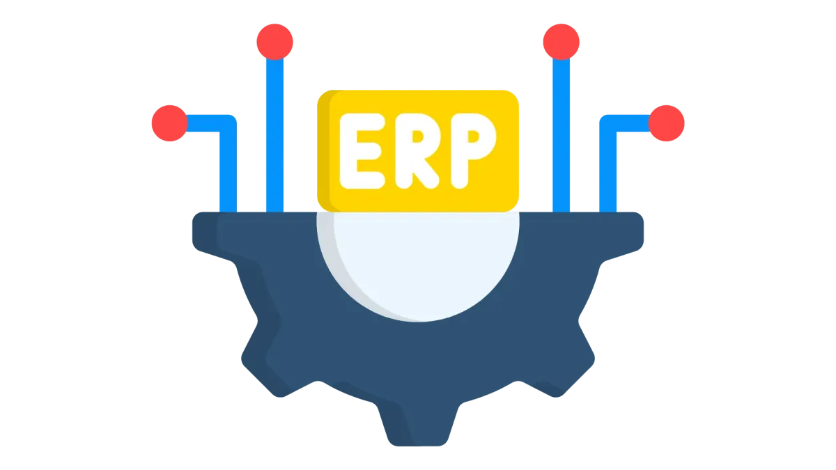 Custom ERP Development Services in India