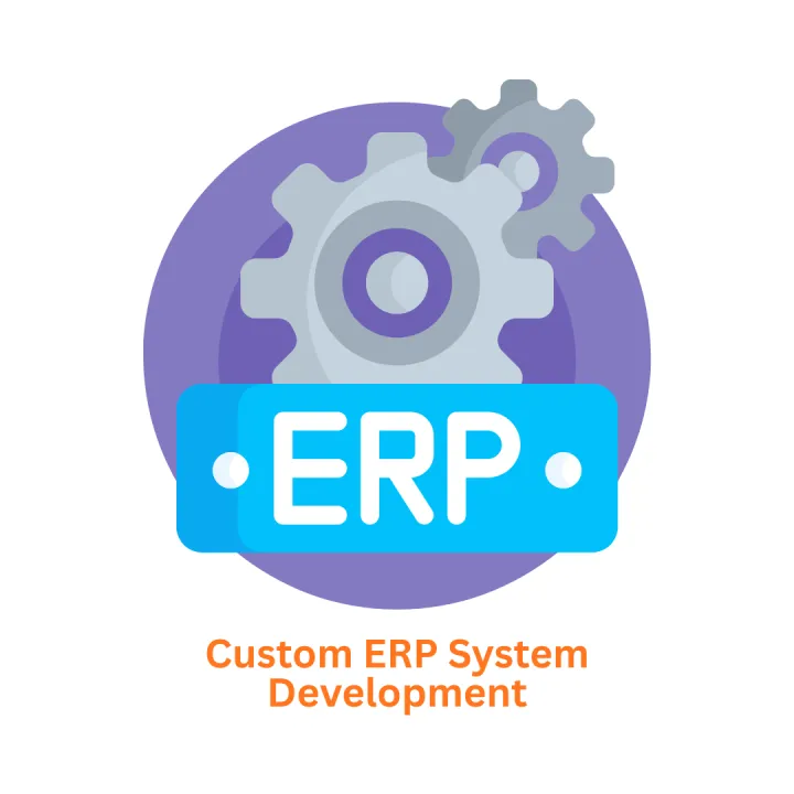 custom erp system development