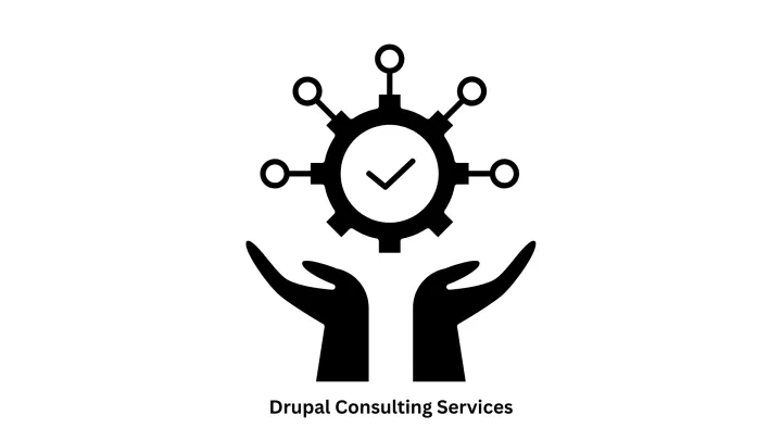 Expert Drupal Consulting Services & Custom CMS Solutions