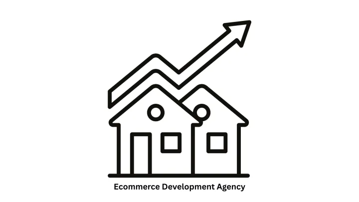 Premier Ecommerce Development Agency