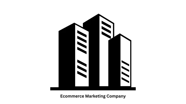 Leading Ecommerce Marketing Company | Digital Growth Solutions