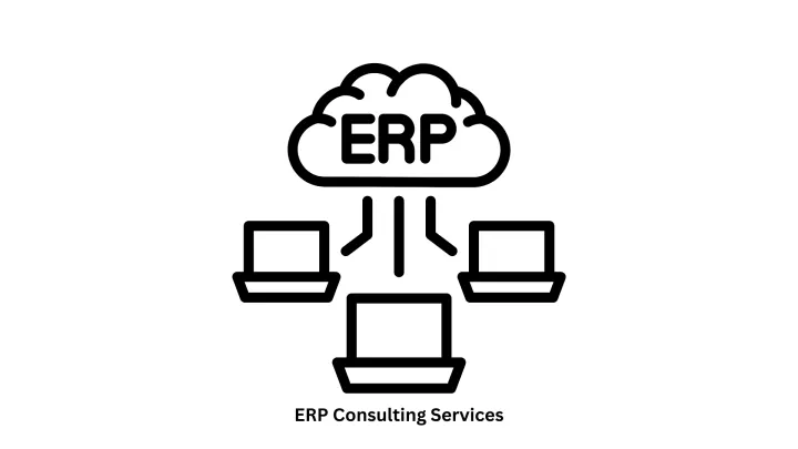 Expert ERP Consulting Services | Custom ERP Solutions