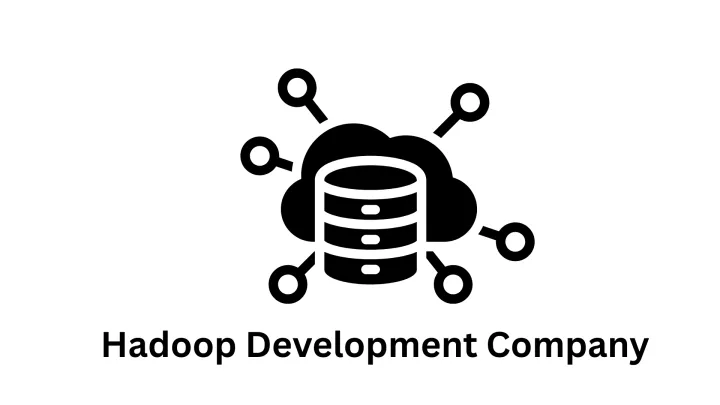 Top Hadoop Development Company & Custom Software Solutions | Associative