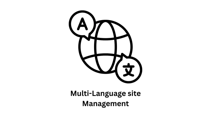 Multi-Language Site Management & IT Solutions
