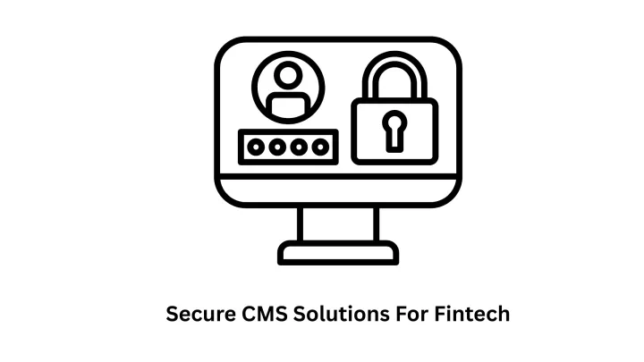 secure cms solutions for fintech