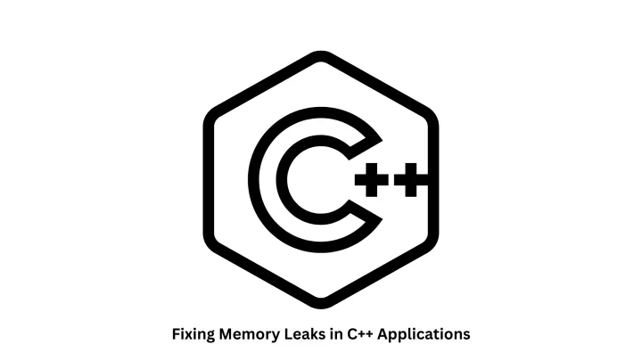 Professional Services for Fixing Memory Leaks in C++ Applications