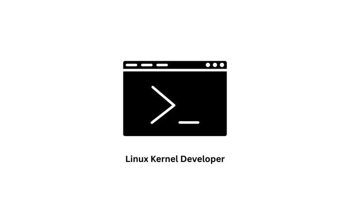 Expert Linux Kernel Developer & Custom IT Solutions