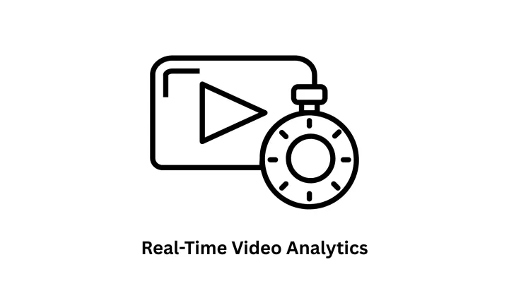 Real-Time Video Analytics & Custom Software Solutions