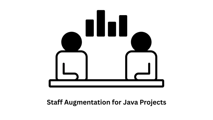 Expert Staff Augmentation for Java Projects