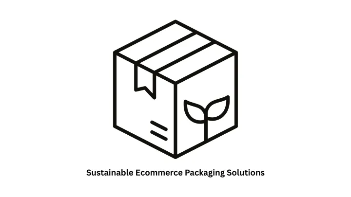 Advanced Software Development for Sustainable Ecommerce Packaging Solutions