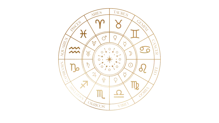 Vedic Astrology Software Development Services