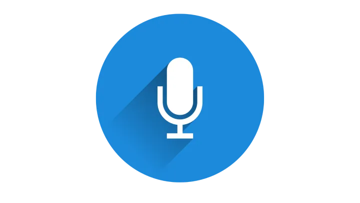 Voice Search Optimization for Ecommerce