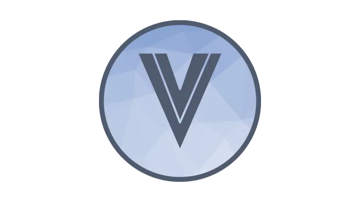 Expert Vue.js Agency in Pune