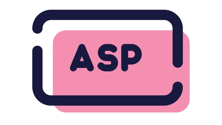 Expert ASP.NET Development Services in Pune | Associative