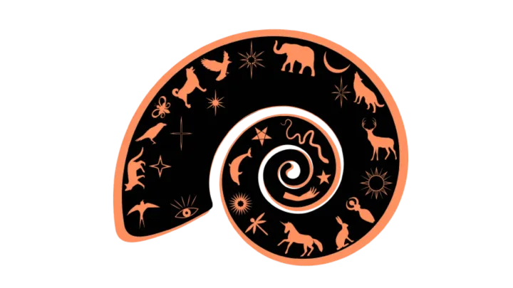 Expert Astrology Website Development Services | Associative Pune