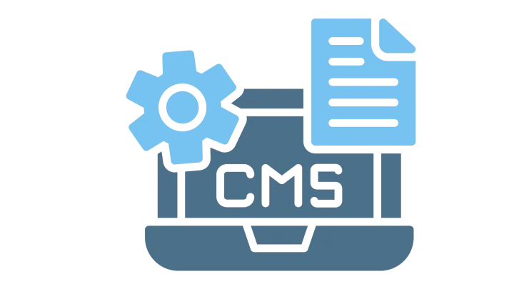 Expert CMS Development Company in Pune | Associative