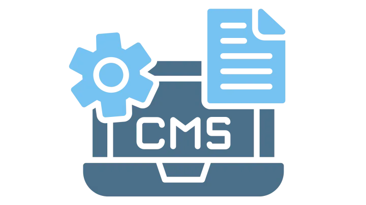 Custom Sanity CMS Development Services | Associative Pune