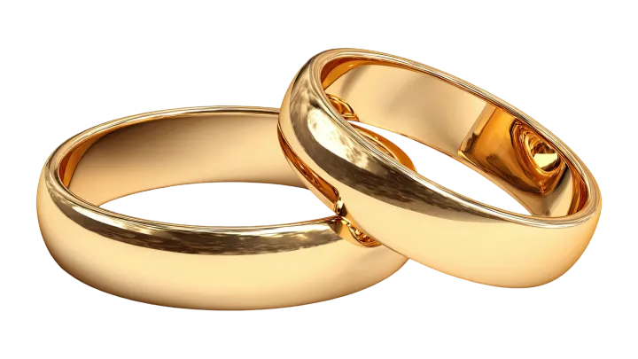 MILANSETU: Ready-to-Deploy Matrimony, Dating, Live-in & Room Sharing Platform